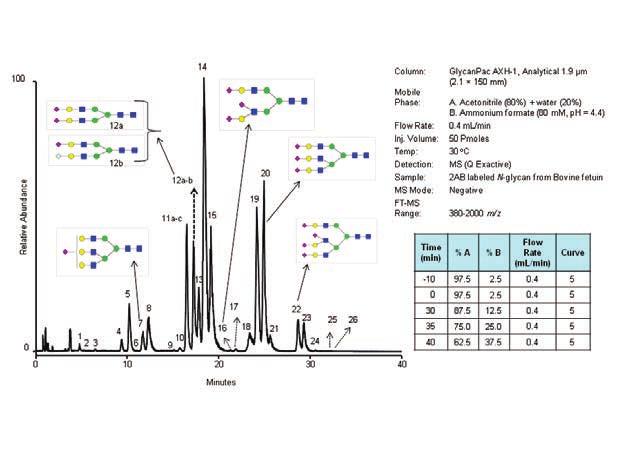 LC-MS Analysis of Native Glycans Released from Proteins The GlycanPac AXH-1 column is well suited for high-performance LC/MS separation and analysis of native glycans from MAbs and other proteins.