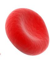 cells hard, sticky, and banana or sickle-shaped The banana-shape of sickle cells block blood flow, which can cause: 2 3 The Pacific Sickle Cell Regional Collaborative works to ensure that people with