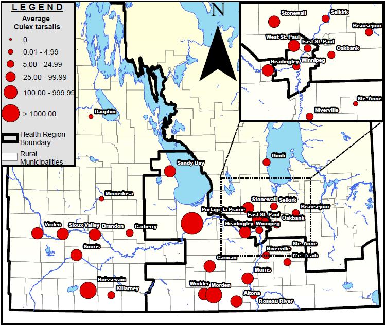 Figure 2 Average number of Culex tarsalis mosquitoes collected across southern Manitoba during