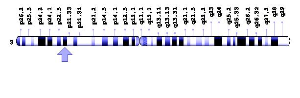 Basal Cell Adenoma & Adenocarcinoma CTNNB1 mutation 3p21 Beta-Catenin
