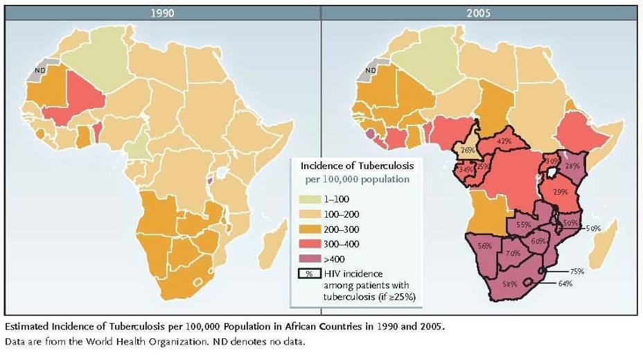TB Incidence in Africa, 1990 and 2005
