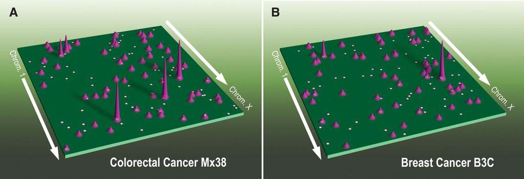 Cancer genome landscapes. L D Wood et al.