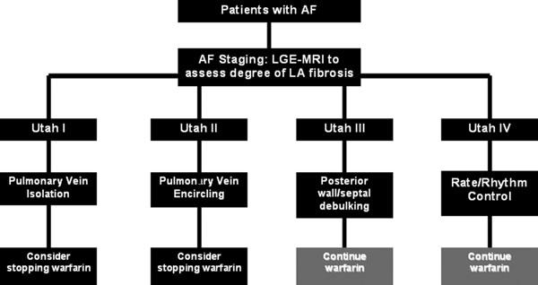 4 Journal of Cardiovascular Electrophysiology Vol. No. Figure 3. University of Utah Atrial Fibrillation LGE-MRI-based management algorithm.