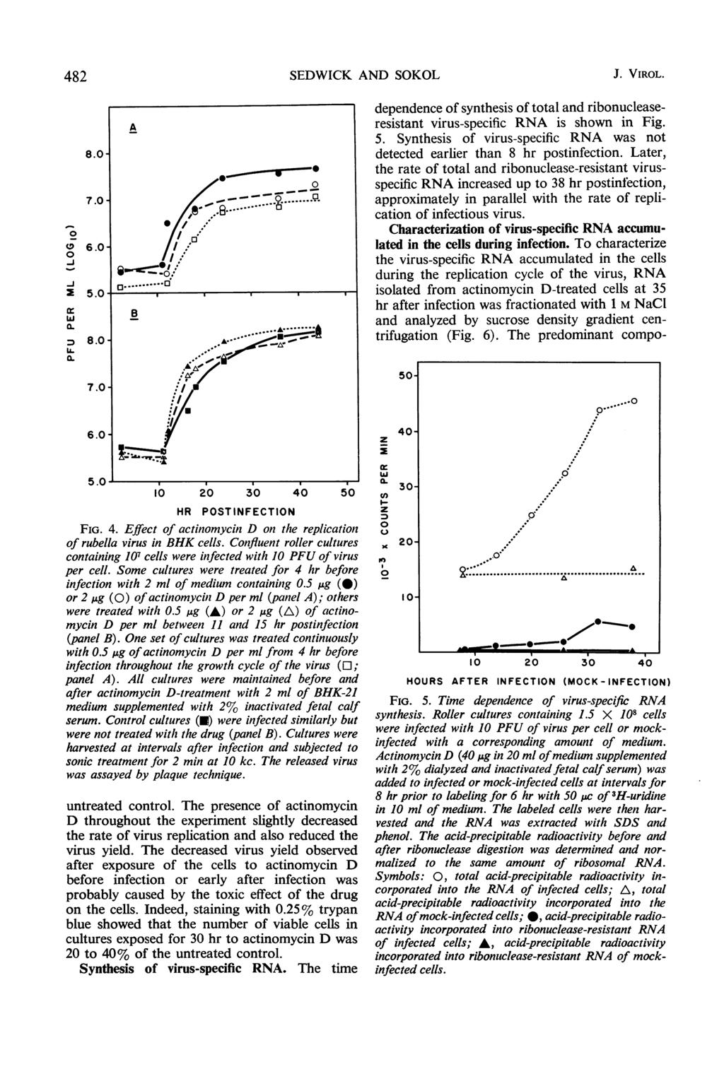 482 (< 6.- -, X 5.... U. 8.j 7.- 6.- B SEDWICK AND SOKOL 5. 1 2 3 4 5 HR POSTINFECTION FIG. 4. Effect of actinomycin D on the replication of rubella virus in BHK cells.