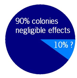 Specific Protection Goal (SPG) It was agreed in the SCoFCAH to base the specific protection goal on a negligible effect on colonies.