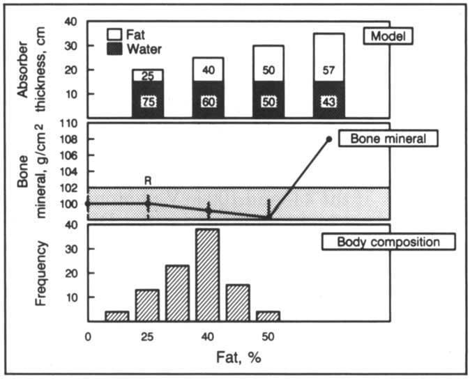 Percentages of fat and absorber thickness are shown in top panel, bone mineral determined by dualenergy x-ray absorptiometry is shown in middle panel, and corresponding distribution of fat content in