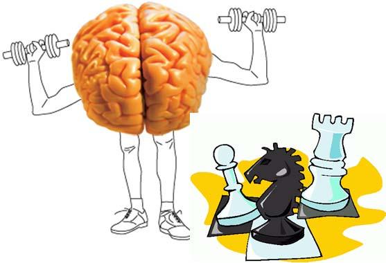 Summary Bechara Nat Neurosci 2005 Chess playing activates / alters brain area related to addiction Neural basis of improvement in cognitive functioning Might adjust the imbalance between the