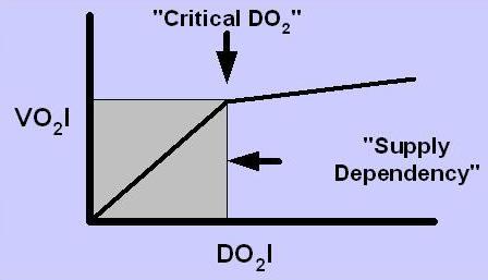 Oxygen delivery (DO 2 ) DO 2 = CO x CaO 2 Critical DO 2 : consumption