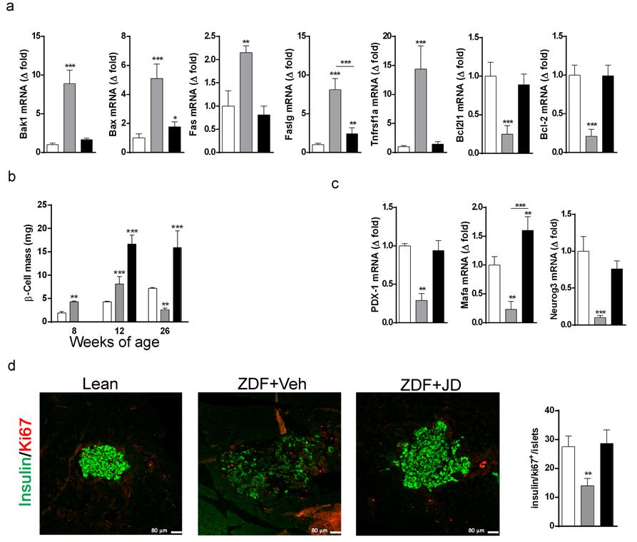 Fig. S2 Effects of JD5037 treatment of ZDF rats on pro- and anti-apoptotic gene expression (a) β- cell mass (b), gene expression of beta cell proliferation markers (c), and beta cell proliferation
