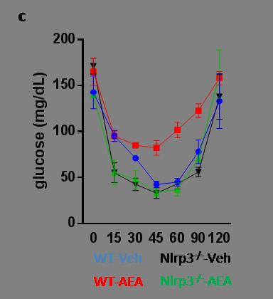 Fig. S8 Effect of anandamide on inflammasome gene expression and activation in