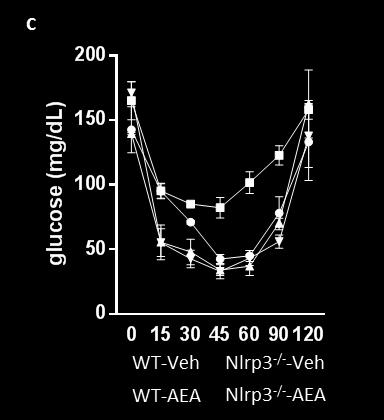 (c): Effect of acute in vivo treatment of mice with anandamide (10 mg/kg ip) on