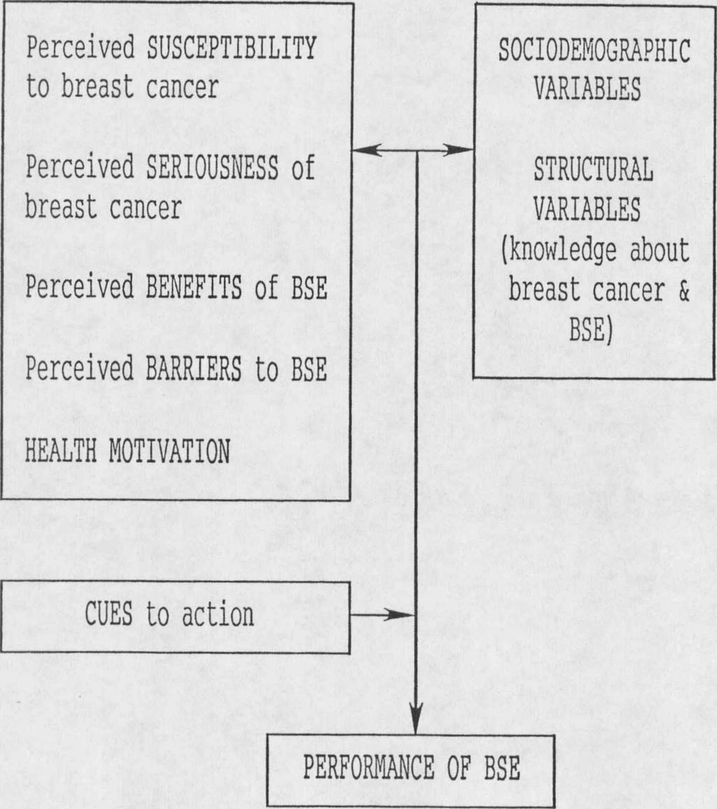 (knowledge about breast cancer & BSE) HEALTH MOTIVATION CUES to action PERFORMANCE OF BSE
