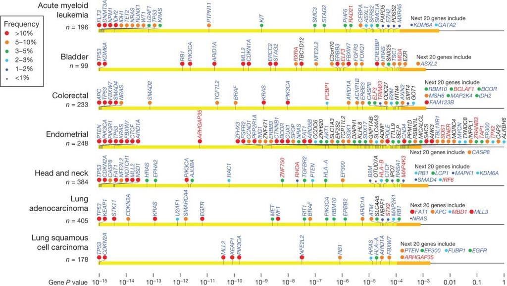 DISCOVERY AND SATURATION ANALYSIS OF CANCER GENES ACROSS 21 TUMOUR TYPES Cancer