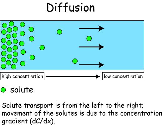 Diffusion Natural process of a substance spreading into available space A substance diffuses