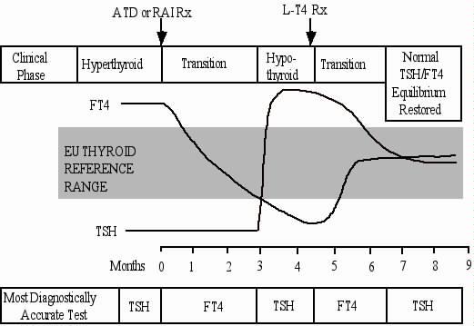 Figure 2. Lag in Pituitary TSH Reset during Unstable Thyroid Status Following Rx.