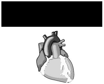 Heart Physiology P QRS PR T QT - atria depolarization - ventricle depolarization -