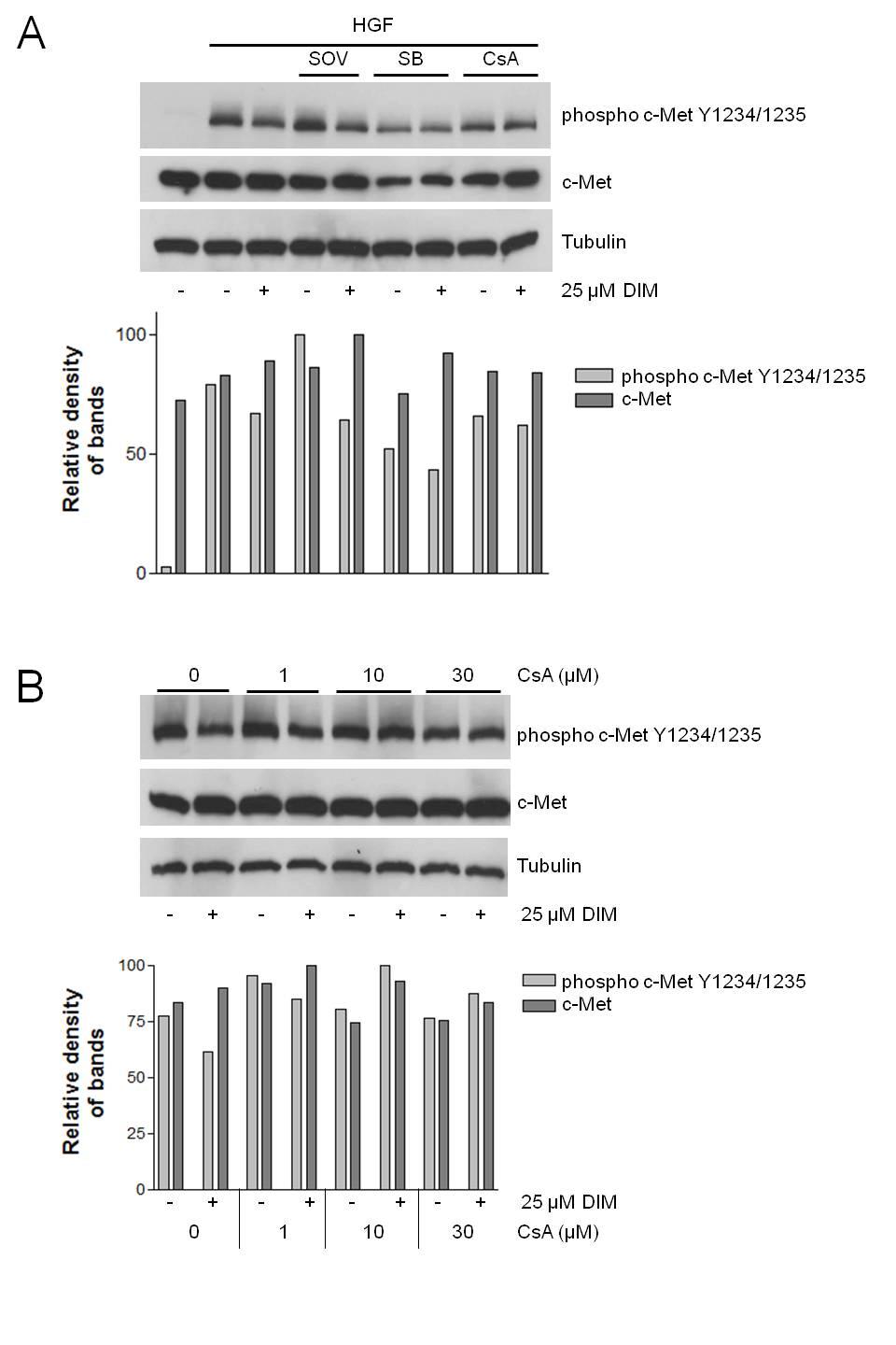 Figure 3-7. Involvement of protein tyrosine phosphatases, p38, and calcineurin in DIM s effects on c-met phosphorylation.