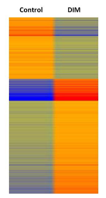 Figure 4-1. Heatmap of log-intensities of the regulated genes by DIM in MDA-MB-231 cells. Genes regulated by DIM are shown in rows.