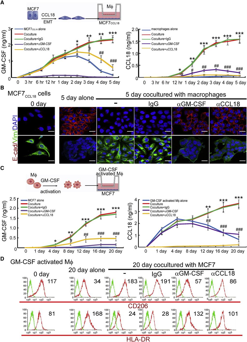 Cancer Cell GM-CSF-CCL18 Loop Promotes Breast Cancer Metastasis Figure 5.
