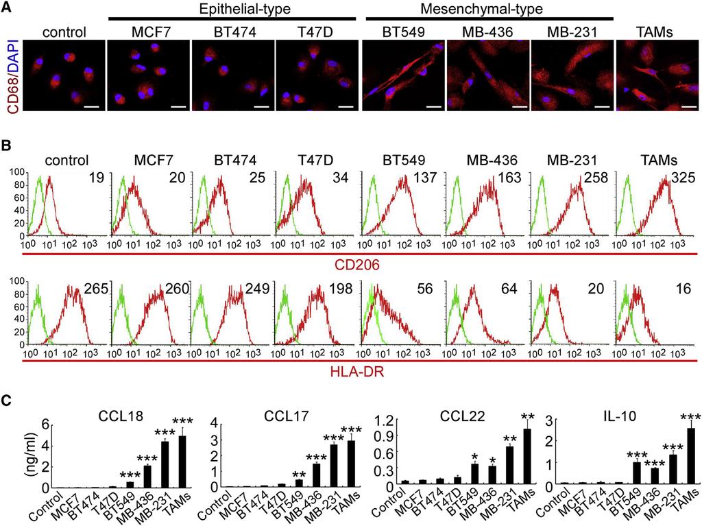 Cancer Cell GM-CSF-CCL18 Loop Promotes Breast Cancer Metastasis Figure 1.