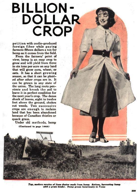 1938 - Popular Mechanics It tells about the new machine for harvesting hemp which solves a problem more than 6,000 years old.