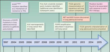 Lung Cancer Treatment Timeline