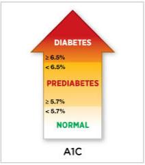 NEXT STEPS Contact your Primary Care physician to have your HbA1c levels evaluated.