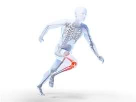 performance measures while improving lower limb kinematics during single leg movement Baldon et al.