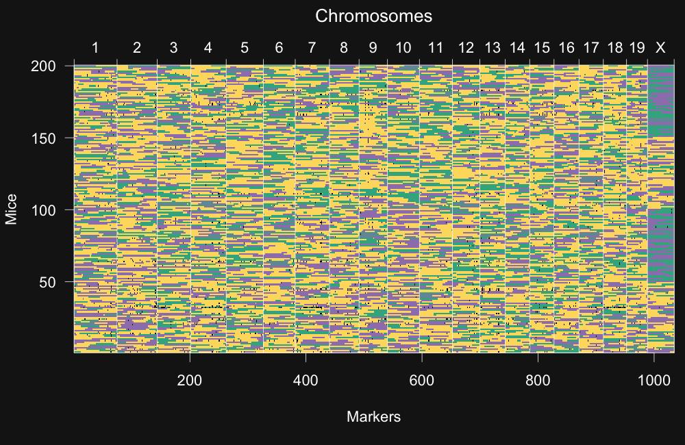 Genotypes 16 An image with a portion of the genotype data (green=gough homozygote, Yellow=heterozygote, purple=wsb homozygote).