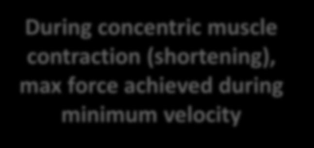 muscle contraction (shortening), max