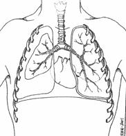 Signs and symptoms of a pneumothorax include: Sudden, sharp chest pain