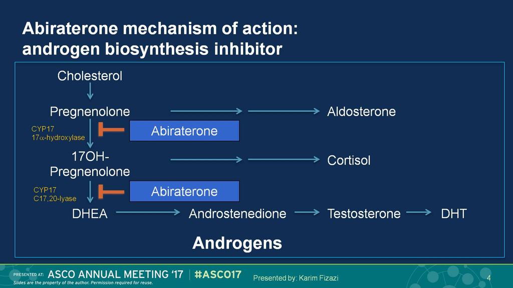 Abiraterone mechanism of action: <br />androgen biosynthesis