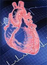 http://www.lef.org/ LE Magazine Febuary 2008 Alleviating Congestive Heart Failure with Coenzyme Q10 By Peter H.
