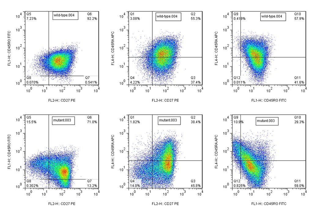 CD45RO CD45RO Mutations in CD28 Co-activation Domain Increase % of Tcm, Tem Memory Cells CD45RA CD45RA CD45RA CD45RA EGFR-CAR-T cells with mutant CD28 domain increase % of Tcm and Tem-memory cells