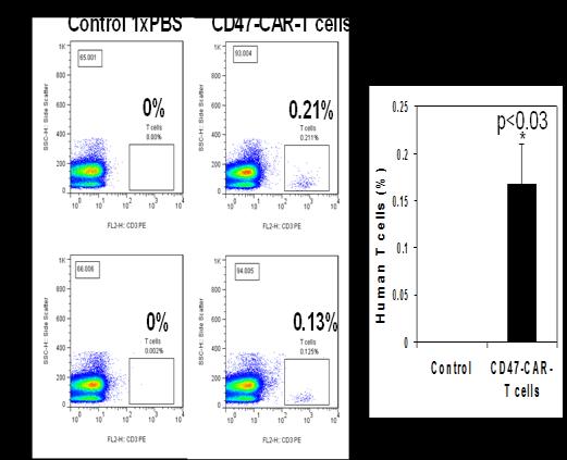 CD47-CAR-T Cells Significantly Decrease BxPC3 Pancreatic Xenograft Tumor Growth Mice Body weight (g) Intratumoral CAR-T cell delivery 25 20 15 10 5 Control 1xPBS CD47- CAR-T cells 0 D7 D11 D14 D18