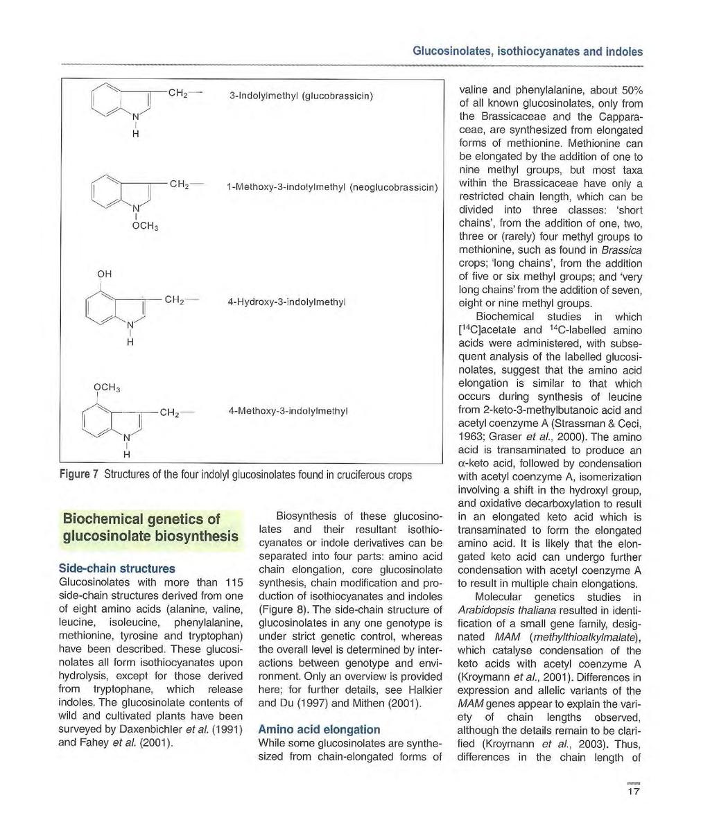 Glucosinolates, isothiocyanates and indoles OH 00H3 H H H 00H3 Biochemical genetics of glucosinolate biosynthesis Side-chain structures Glucosinolates with more than 115 side-chain structures derived