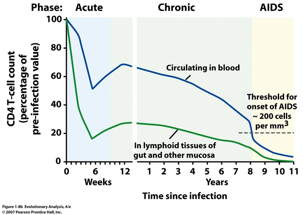 Changes in CD4 T-cell