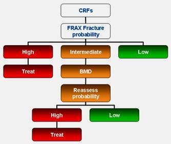 OVERVIEW 5/ Risk factors: FRAX model (Clinical practice guideline)