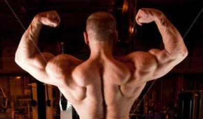 Anabolic steroids Selective androgen