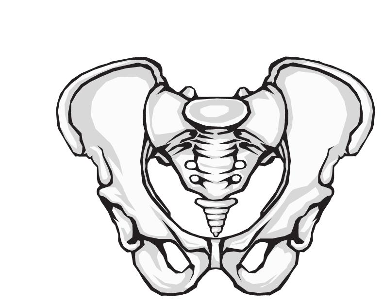 Pelvic Girdle Pain (PGP) This is the term used for all pelvic pain. This includes pain anywhere from the lumbar spine, abdomen and into the thigh. There are two main causes.
