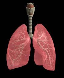 originate from the heart, lungs, and deep veins