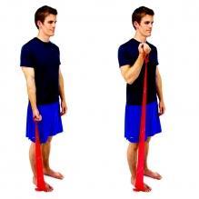 Bicep Curls Hold the elastic band at your side with one end fixed under your foot as shown.