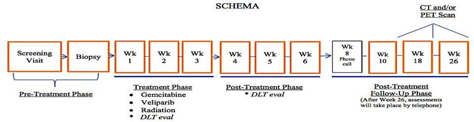 4 Gy/day, M-F) Veliparib: administered per dose escalation schema, 60 mg BID 1 Objective: to determine the MTD,