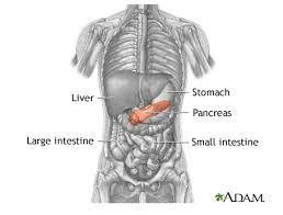 Treatment of Cancer: Surgery Example: Pancreatic Cancer Type of surgery in pancreatic