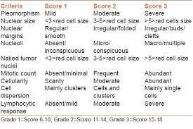 cells - Lower grade = looks more like normal cells -
