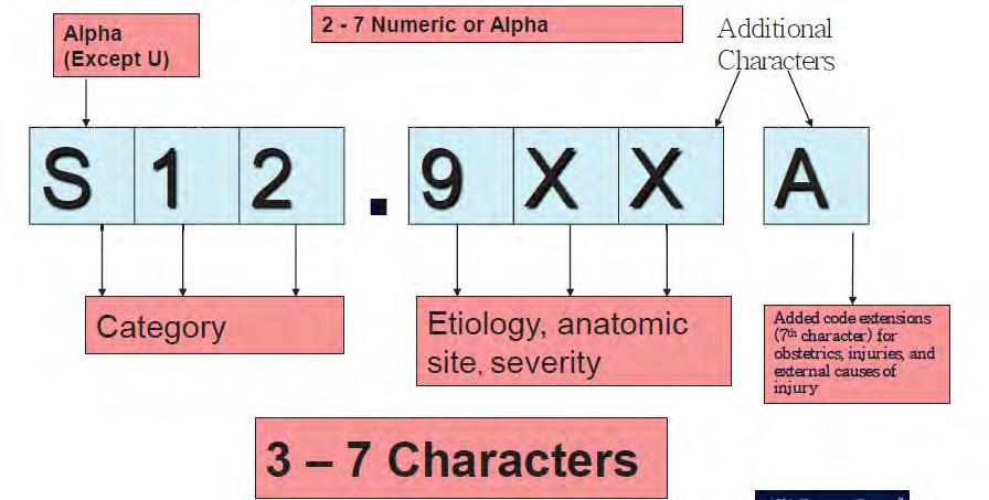 ICD-10 COMPARISON Up to seven digits First digit = always alpha, except U Second digit = always numeric All other digits = combination 24 SEVENTH CHARACTER NEW The seventh character of code Adds