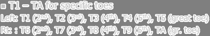 th ), FA (thumb) T1 TA for specific toes Left: T1 (2 nd ), T2 (3 rd ), T3 (4 th ), T4