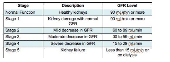 Stages and egfr The Estimated Glomerular Filtration Rate (egfr) is a blood test which checks how well the kidneys work to filter out waste from your blood and to determine the stage Typically the