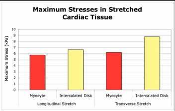 This is an excellent example of the ability of specific tissue architecture to dramatically effect the stress and strain distribution.