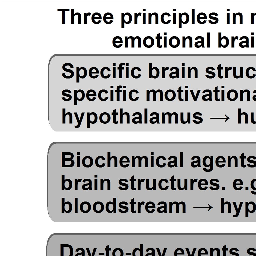 The emotional brain: